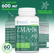 Заказать TreeofLife ZMA+B6 60 капс