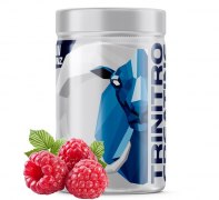 Заказать Siberian Nutrogunz TriNitroCreatine 250 гр